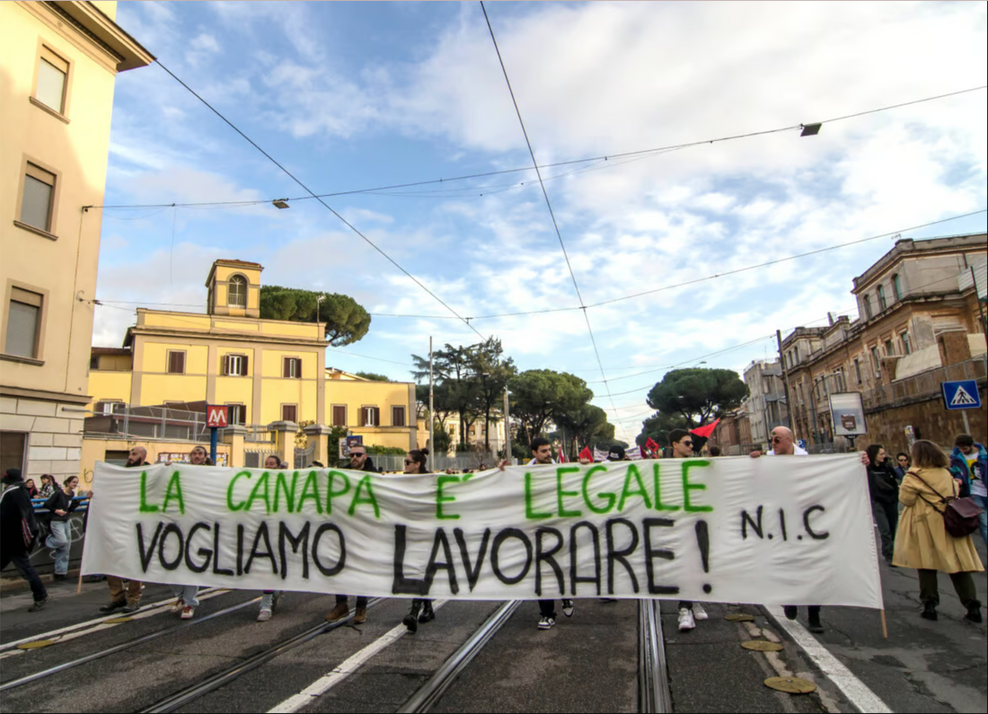 Cannabis Light: 30.000 Lavoratori a Rischio, in 100mila in Rivolta a Roma Contro la Repressione