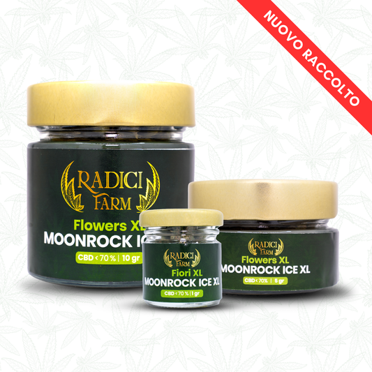 Fiori Moonrock Ice - cannabis light legale